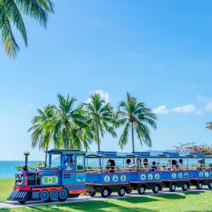 機(jī)械動(dòng)力類