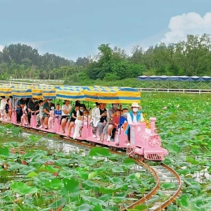 機(jī)械動力類